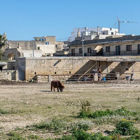 Hébergement de vacances Ganni's - Luxury Converted Holiday Farmhouse With Private Pool In Island Of Gozo